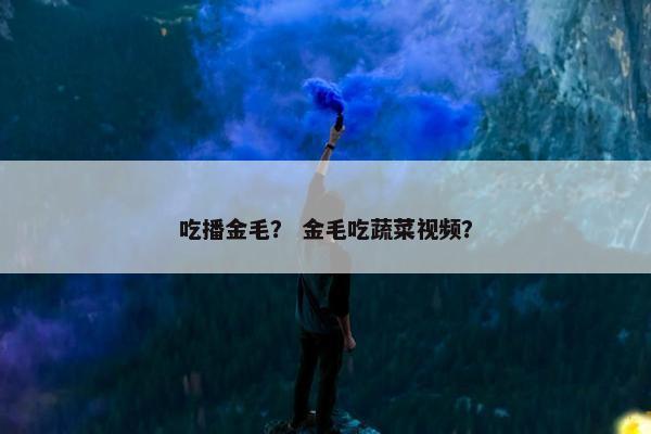 吃播金毛? 金毛吃蔬菜视频? 吃播金毛? 金毛吃蔬菜视频?