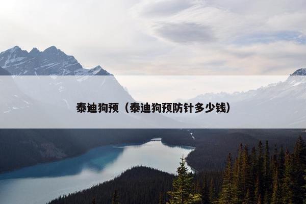 泰迪狗预(泰迪狗预防针多少钱) 泰迪狗预(泰迪狗预防针多少钱)