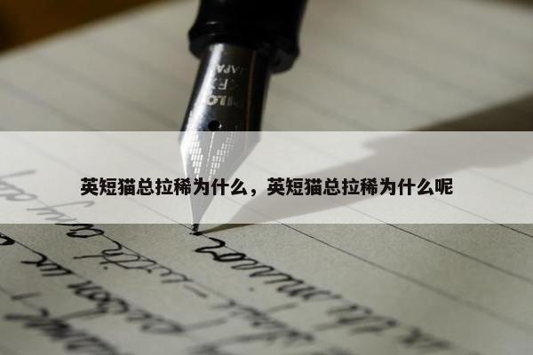 英短猫总拉稀为什么,英短猫总拉稀为什么呢 英短猫总拉稀为什么,英短猫总拉稀为什么呢