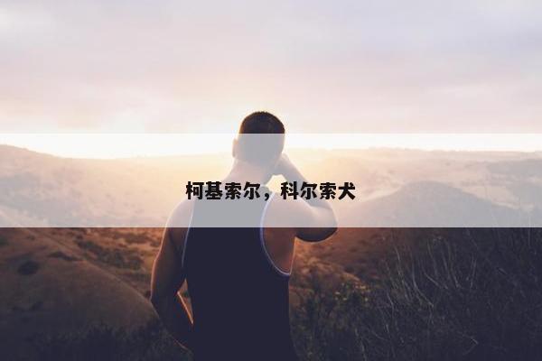 柯基索尔,科尔索犬 柯基索尔,科尔索犬