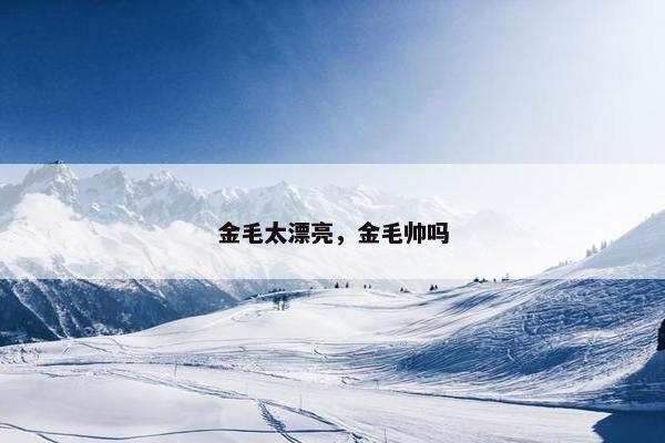 金毛太漂亮,金毛帅吗 金毛太漂亮,金毛帅吗