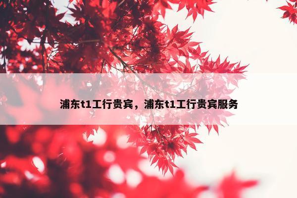 浦东t1工行贵宾,浦东t1工行贵宾服务 浦东t1工行贵宾,浦东t1工行贵宾服务