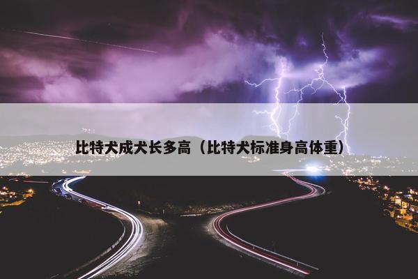 比特犬成犬长多高(比特犬标准身高体重) 比特犬成犬长多高(比特犬标准身高体重)