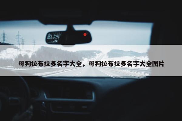 母狗拉布拉多名字大全,母狗拉布拉多名字大全图片 母狗拉布拉多名字大全,母狗拉布拉多名字大全图片