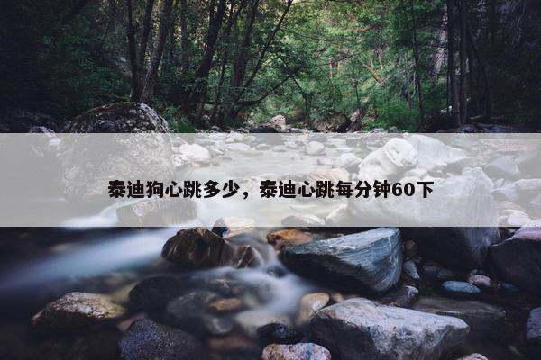 泰迪狗心跳多少,泰迪心跳每分钟60下 泰迪狗心跳多少,泰迪心跳每分钟60下