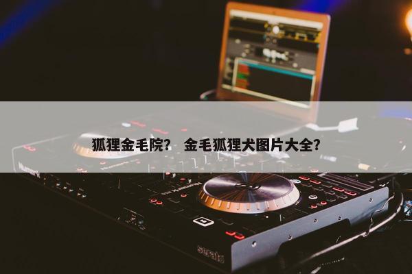 狐狸金毛院? 金毛狐狸犬图片大全? 狐狸金毛院? 金毛狐狸犬图片大全?
