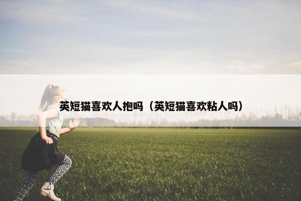 英短猫喜欢人抱吗(英短猫喜欢粘人吗) 英短猫喜欢人抱吗(英短猫喜欢粘人吗)