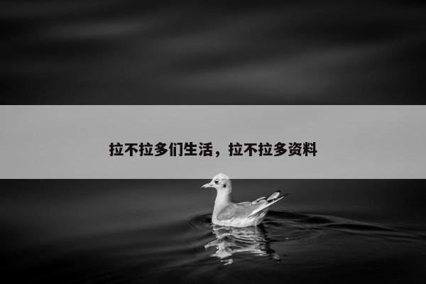 拉不拉多们生活,拉不拉多资料 拉不拉多们生活,拉不拉多资料