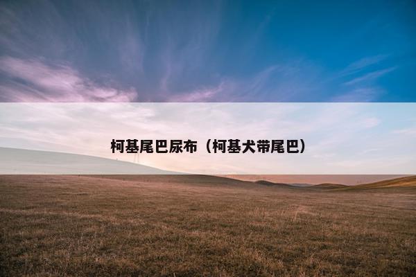 柯基尾巴尿布（柯基犬带尾巴）