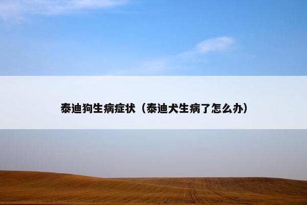 泰迪狗生病症状(泰迪犬生病了怎么办) 泰迪狗生病症状(泰迪犬生病了怎么办)