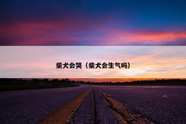 柴犬会哭(柴犬会生气吗) 柴犬会哭(柴犬会生气吗)