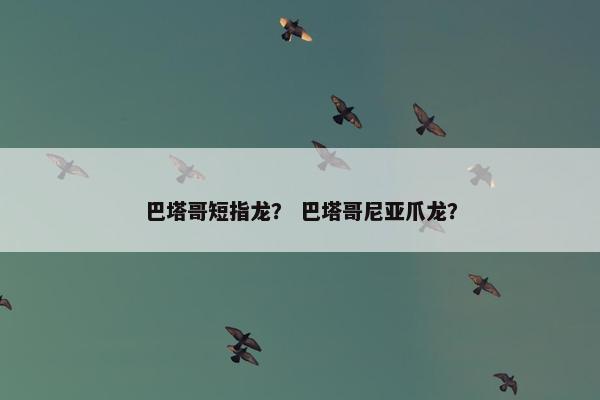 巴塔哥短指龙? 巴塔哥尼亚爪龙? 巴塔哥短指龙? 巴塔哥尼亚爪龙?