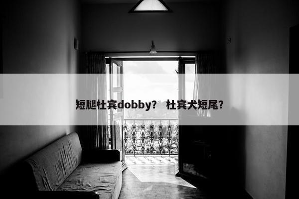 短腿杜宾dobby? 杜宾犬短尾? 短腿杜宾dobby? 杜宾犬短尾?