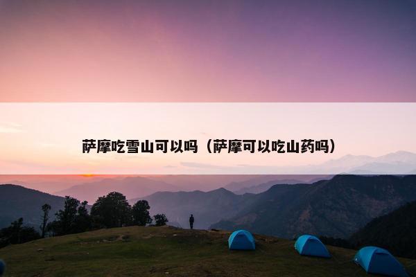 萨摩吃雪山可以吗(萨摩可以吃山药吗) 萨摩吃雪山可以吗(萨摩可以吃山药吗)