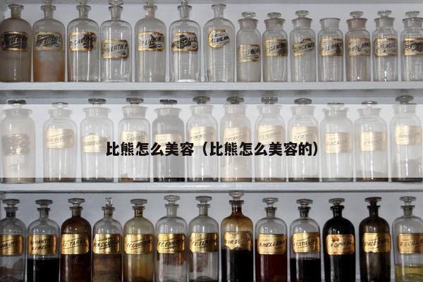 比熊怎么美容（比熊怎么美容的）
