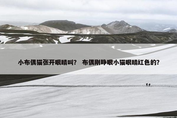 小布偶猫张开眼睛叫? 布偶刚睁眼小猫眼睛红色的? 小布偶猫张开眼睛叫? 布偶刚睁眼小猫眼睛红色的?