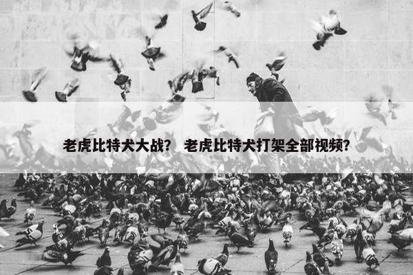 老虎比特犬大战? 老虎比特犬打架全部视频? 老虎比特犬大战? 老虎比特犬打架全部视频?