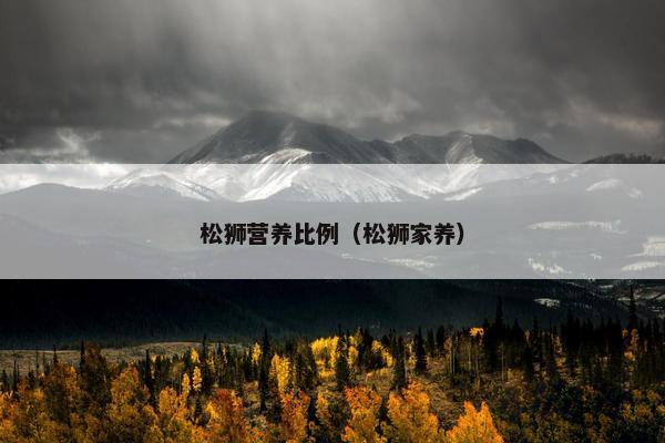 松狮营养比例（松狮家养）