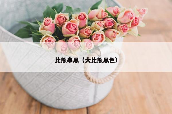 比熊串黑(大比熊黑色) 比熊串黑(大比熊黑色)