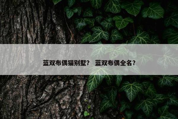 蓝双布偶猫别墅？ 蓝双布偶全名？
