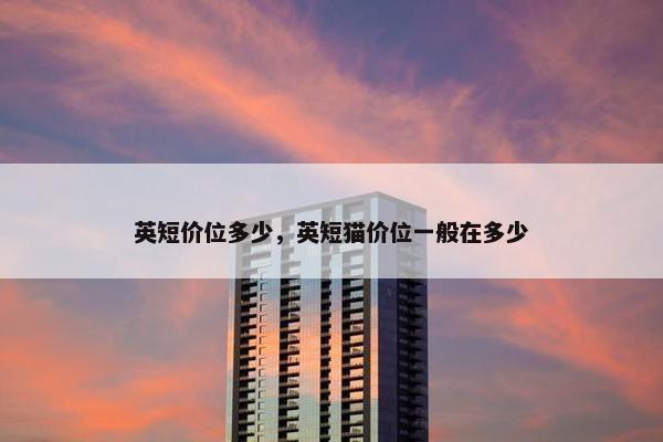 英短价位多少，英短猫价位一般在多少