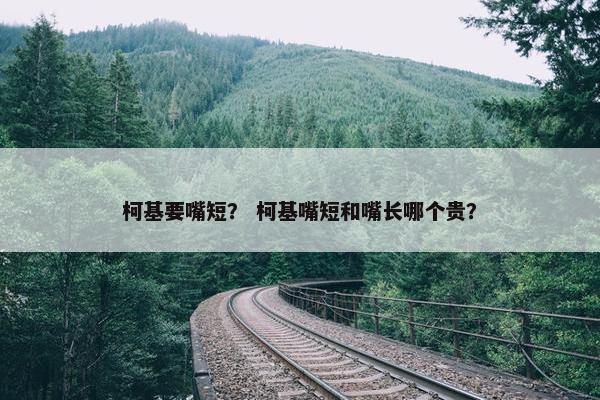 柯基要嘴短? 柯基嘴短和嘴长哪个贵? 柯基要嘴短? 柯基嘴短和嘴长哪个贵?