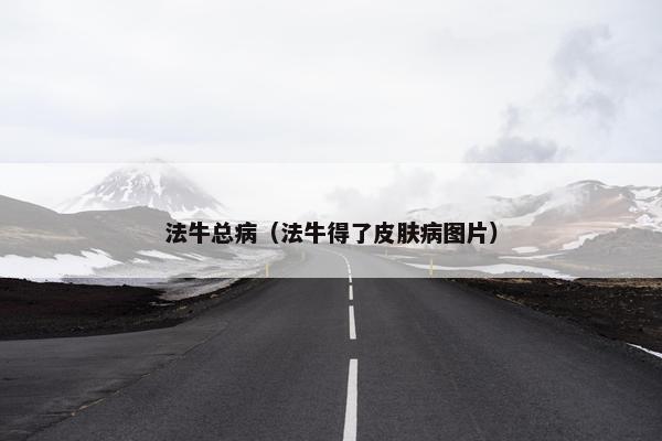 法牛总病(法牛得了皮肤病图片) 法牛总病(法牛得了皮肤病图片)