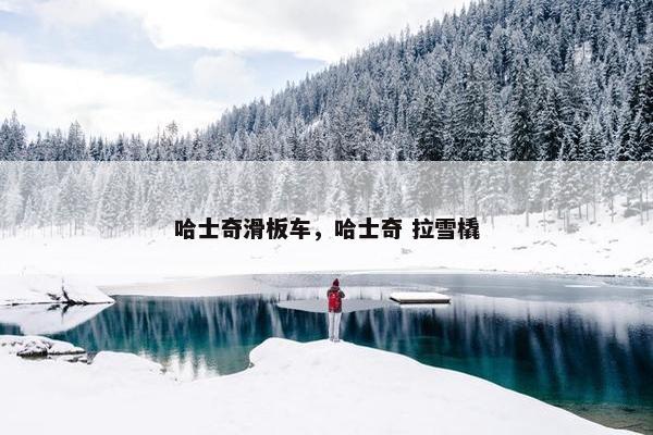 哈士奇滑板车,哈士奇 拉雪橇 哈士奇滑板车,哈士奇 拉雪橇