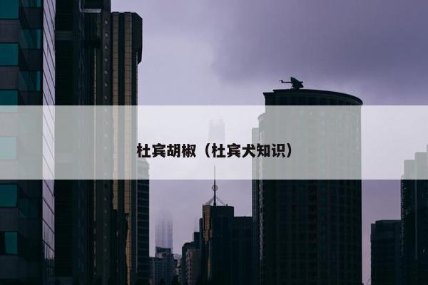 杜宾胡椒(杜宾犬知识) 杜宾胡椒(杜宾犬知识)