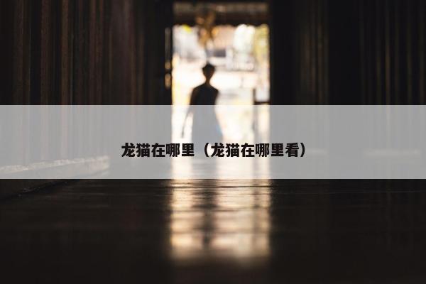 龙猫在哪里(龙猫在哪里看) 龙猫在哪里(龙猫在哪里看)