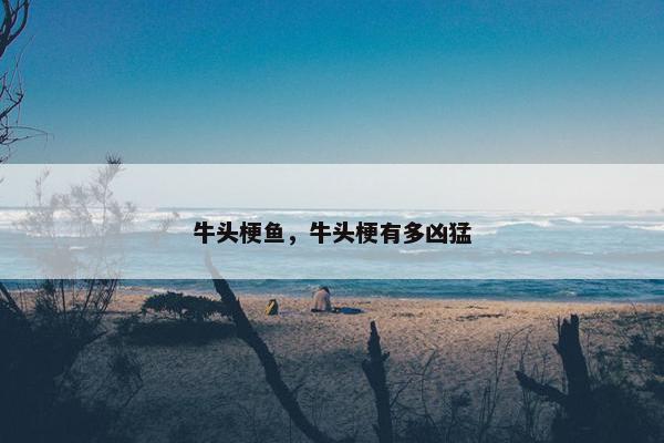 牛头梗鱼,牛头梗有多凶猛 牛头梗鱼,牛头梗有多凶猛