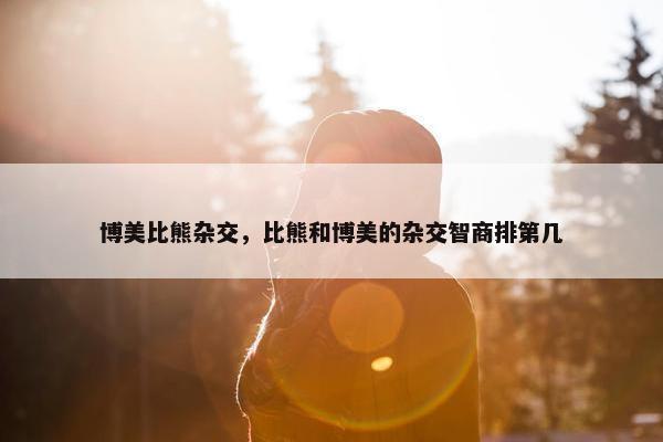 博美比熊杂交,比熊和博美的杂交智商排第几 博美比熊杂交,比熊和博美的杂交智商排第几