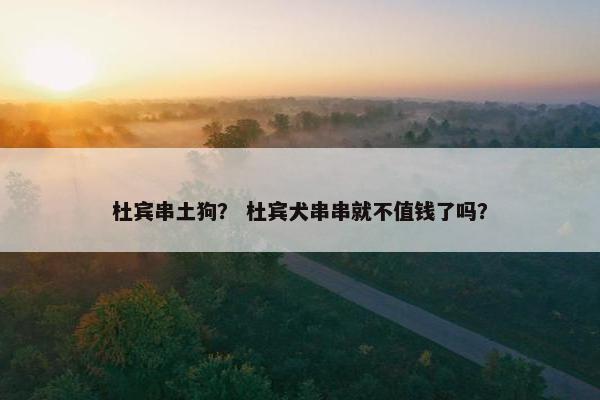 杜宾串土狗? 杜宾犬串串就不值钱了吗? 杜宾串土狗? 杜宾犬串串就不值钱了吗?