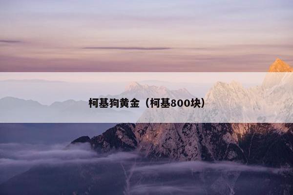 柯基狗黄金(柯基800块) 柯基狗黄金(柯基800块)