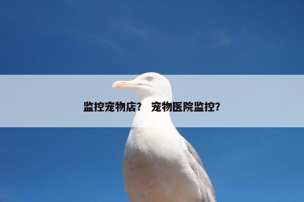 监控宠物店？ 宠物医院监控？