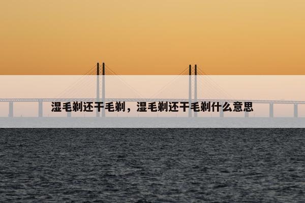 湿毛剃还干毛剃，湿毛剃还干毛剃什么意思
