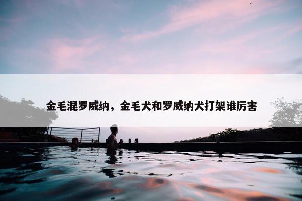 金毛混罗威纳，金毛犬和罗威纳犬打架谁厉害