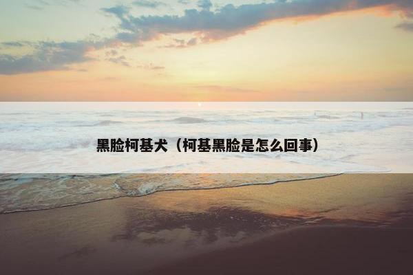 黑脸柯基犬（柯基黑脸是怎么回事）