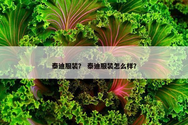 泰迪服装？ 泰迪服装怎么样？