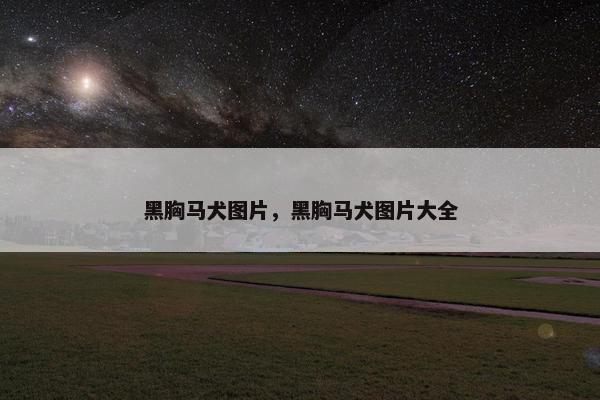 黑胸马犬图片，黑胸马犬图片大全