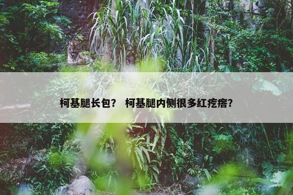 柯基腿长包？ 柯基腿内侧很多红疙瘩？