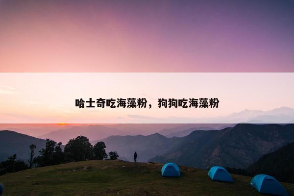 哈士奇吃海藻粉，狗狗吃海藻粉