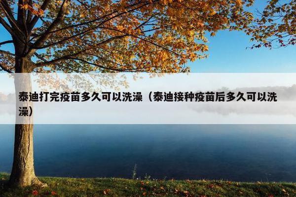 泰迪打完疫苗多久可以洗澡（泰迪接种疫苗后多久可以洗澡）