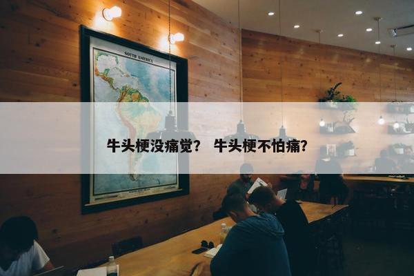 牛头梗没痛觉？ 牛头梗不怕痛？