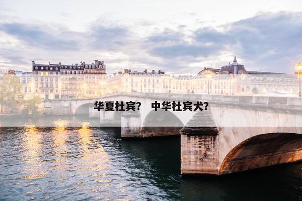 华夏杜宾？ 中华杜宾犬？