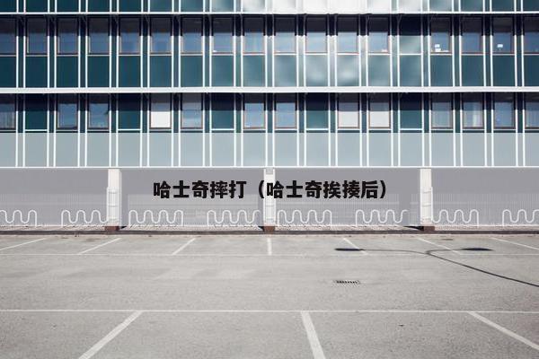 哈士奇摔打（哈士奇挨揍后）