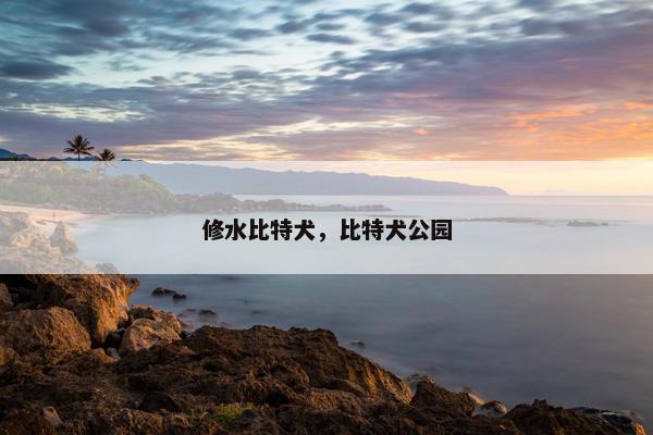 修水比特犬，比特犬公园