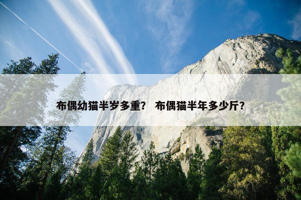布偶幼猫半岁多重? 布偶猫半年多少斤? 布偶幼猫半岁多重? 布偶猫半年多少斤?