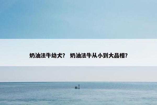 奶油法牛幼犬？ 奶油法牛从小到大品相？