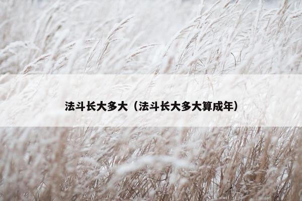 法斗长大多大（法斗长大多大算成年）